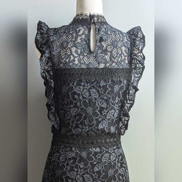 EUC...Beautiful Zara Guipure Lace Dress (with whimsy/goth vibes)  Size Small - Picture 8 of 13